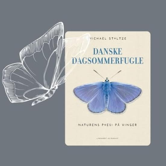 Michael Stoltze: Danske dagsommerfugle: Naturens poesi på vinger