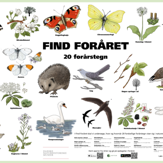 Find foråret