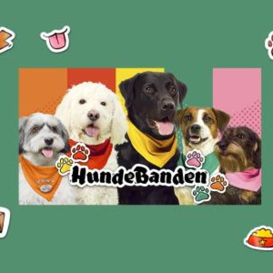 DR Hundebanden