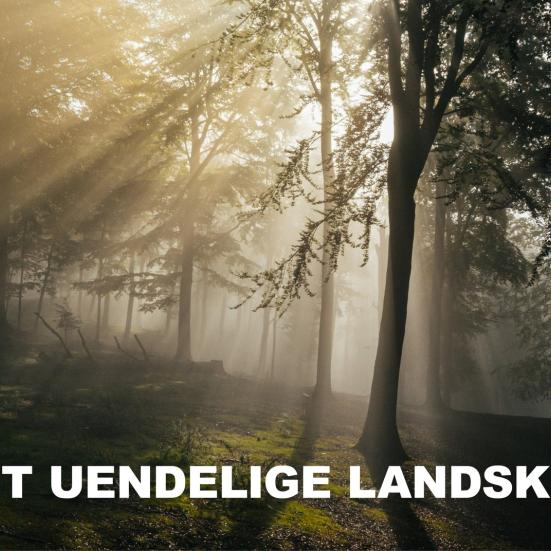 Det uendelige Landskab. Foto: Jonas Normann