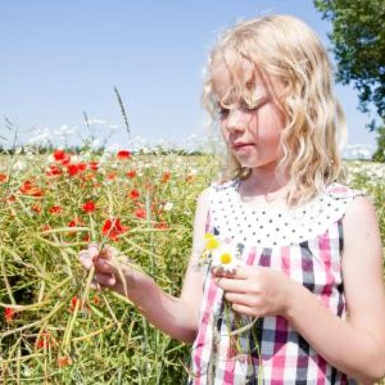 Sommerlæsning for 3-5 år