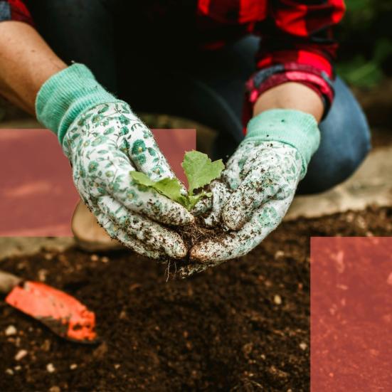 Hænder med handsker, der roder i jorden 