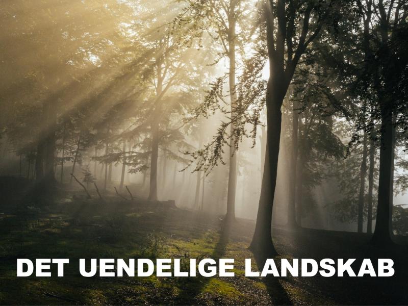 Det uendelige Landskab. Foto: Jonas Normann