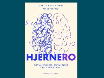 Martin Kastrup og Mads Hyldig: Hjernero