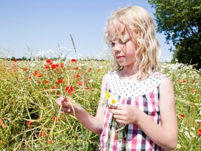 Sommerlæsning for 3-5 år