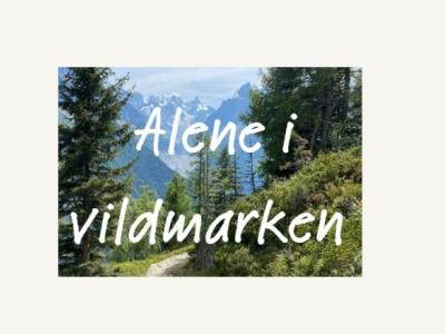 Alene i Vildmarken