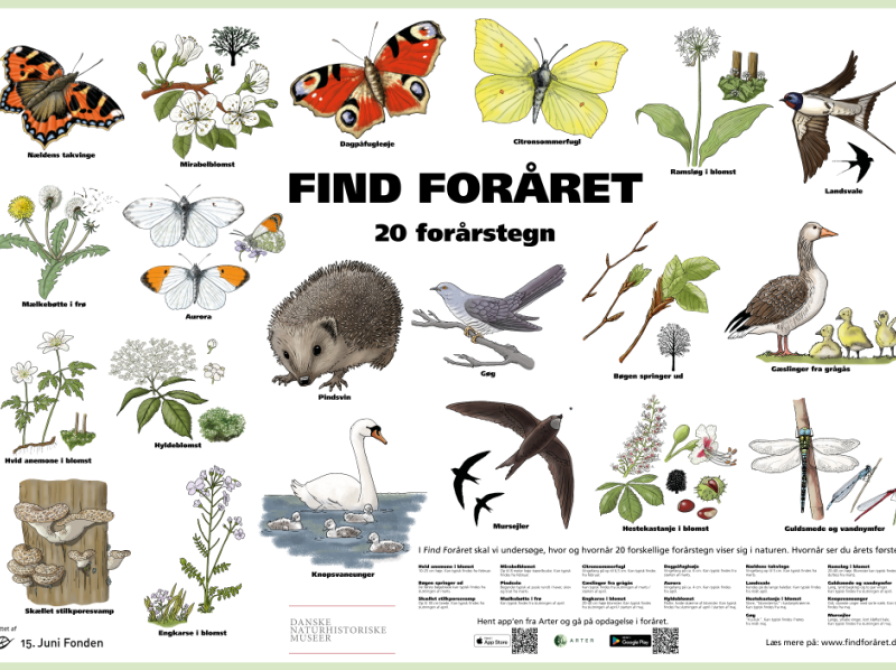 Find foråret