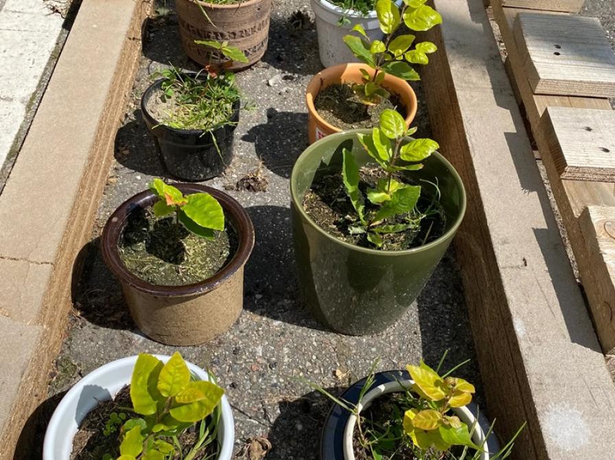 Fra Willy Sørensens Plads