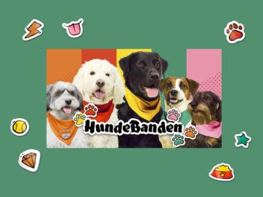 DR Hundebanden