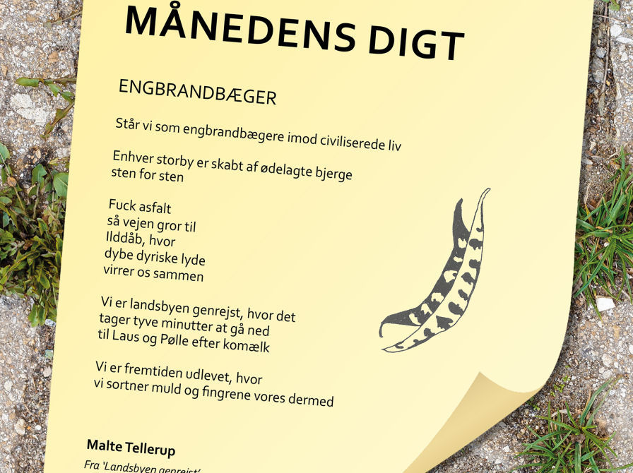 Digt af Malte Tellerup