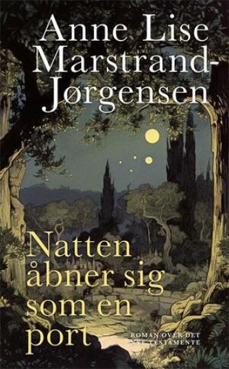 Anne Lise Marstrand-Jørgensen: Natten åbner sig som en port : roman over Det Nye Testamente