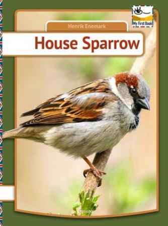 Henrik Enemark: House sparrow