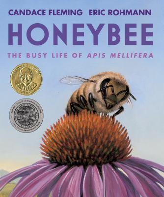 Candace Fleming: Honeybee : the busy life of apis mellifera