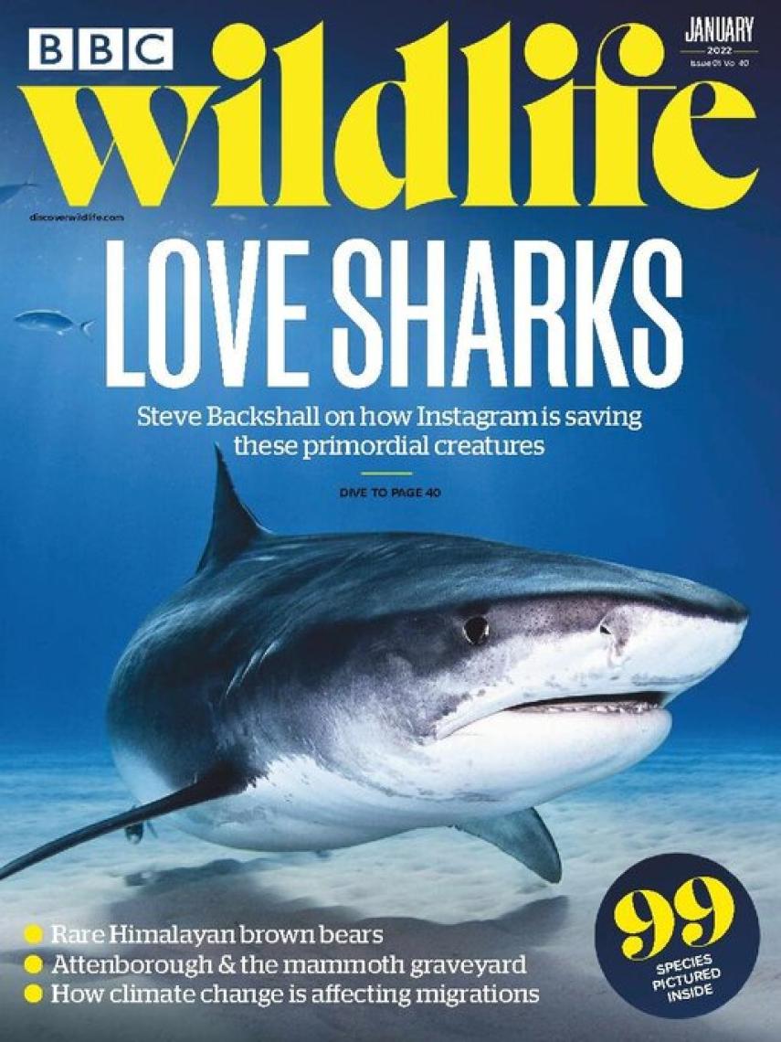 : Bbc wildlife magazine