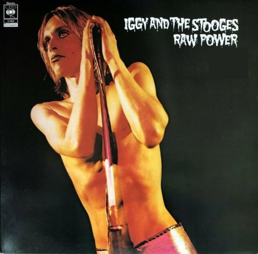Iggy and the Stooges: Raw power