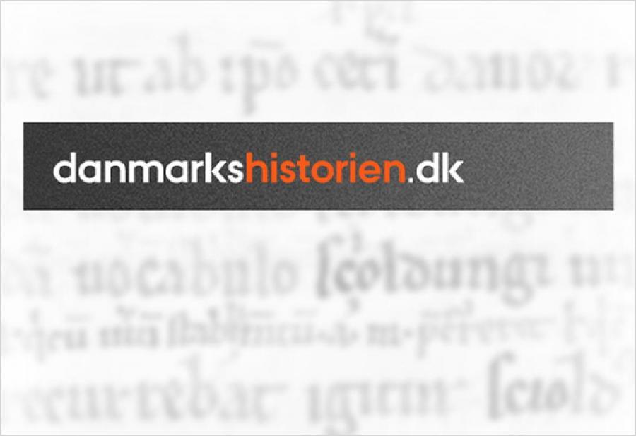 Danmarkshistorien.dk logo