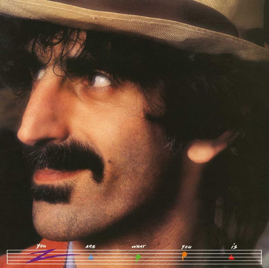 Frank Zappa: You are what you is